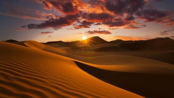 Golden Sandstone Hotel Desert Safari Camp Джайсалмер Экстерьер фото